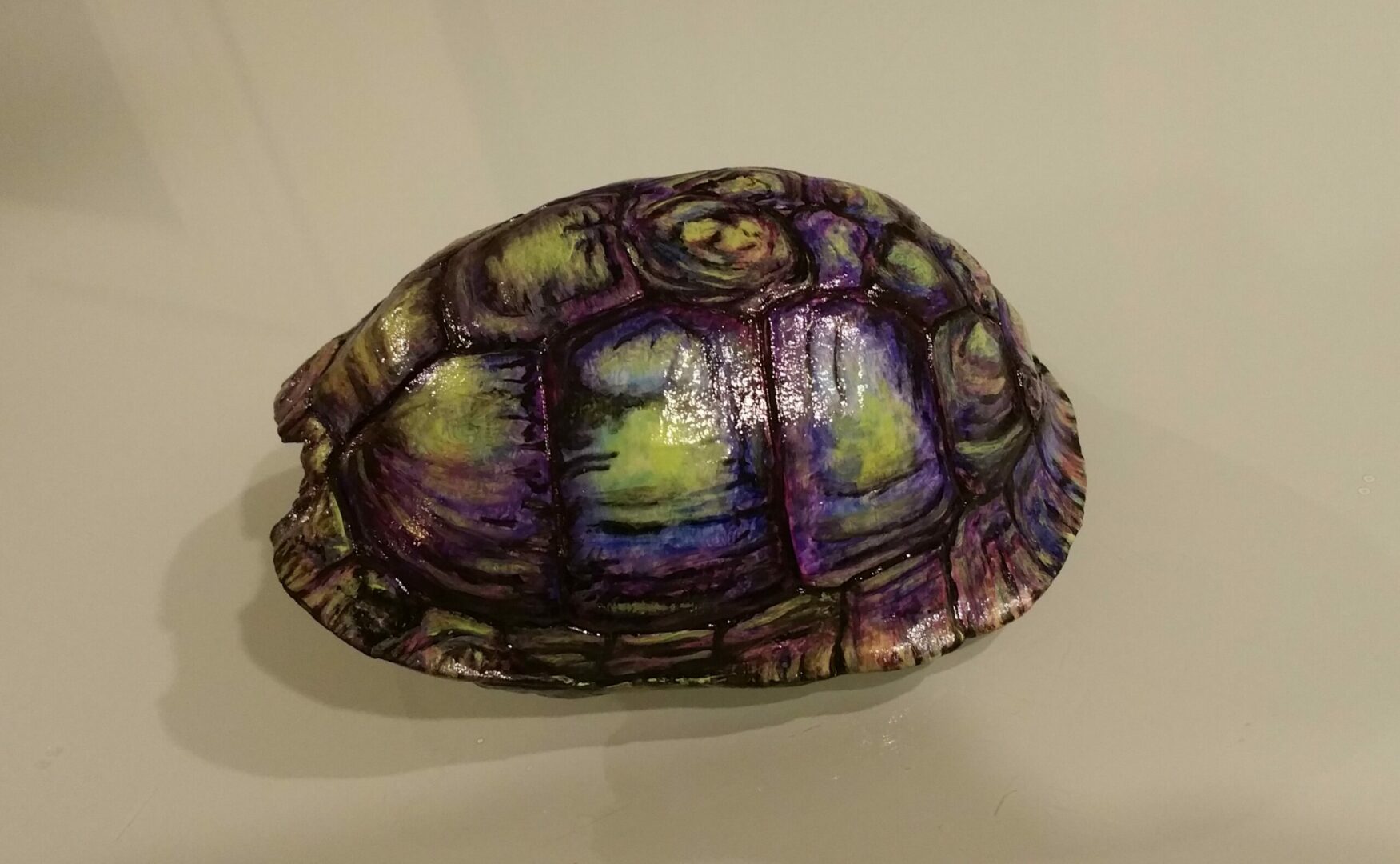 A turtle shell with purple and green paint.